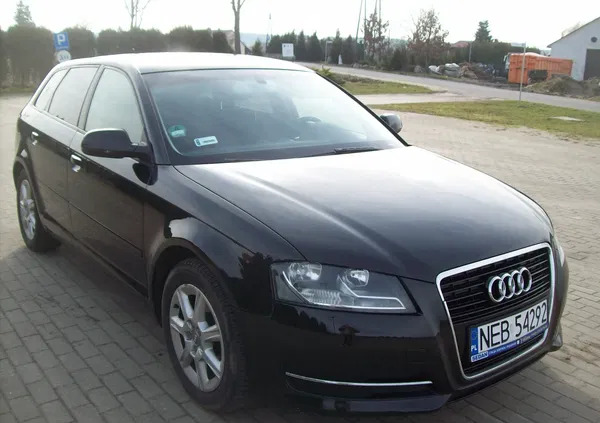 samochody osobowe Audi A3 cena 31900 przebieg: 238100, rok produkcji 2012 z Rawicz